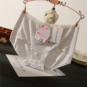 满39元 小清新纯色舒适莫代尔棉女士低腰内裤 包邮 黛丝少女新款