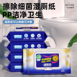 碧c湿厕纸冲马桶不堵擦屁股可冲散降解抑菌洁厕湿巾家用40抽5包