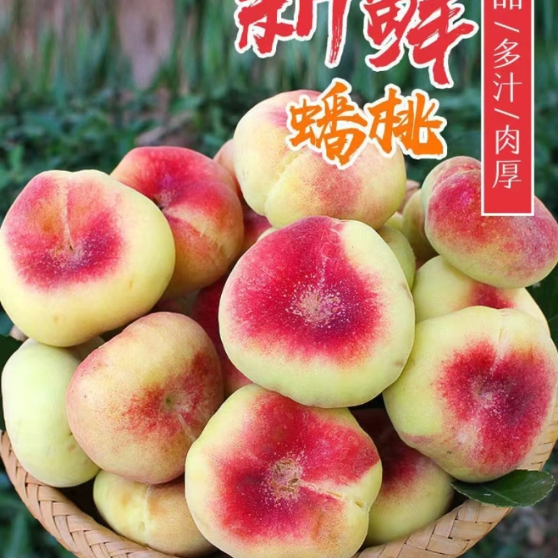 蟠桃扁桃水密桃新鲜水果礼盒装现摘现发孕妇软糯香甜当季肥城桃子