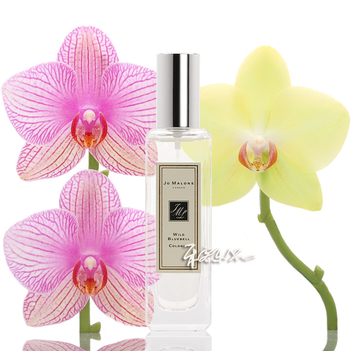Jo Malone׿ÂíÁúºìõ¹å RED ROSESŮʿÏãË®2mlÊÔ¹ÜСÑù ÇåÐÂ×ÔÈ»
