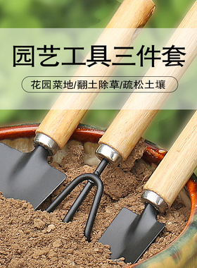 种花工具家用套装种菜栽花养花多肉铲松土耙子铁锹园艺小铲子三件