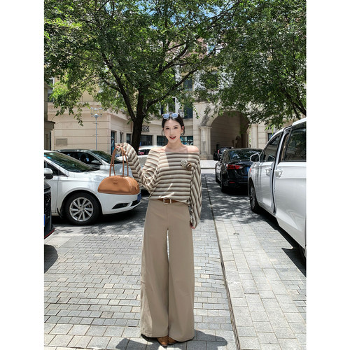 甜辣多多 天丝棉阔腿裤女2026年秋梨形高腰廓形工装长裤Z3962