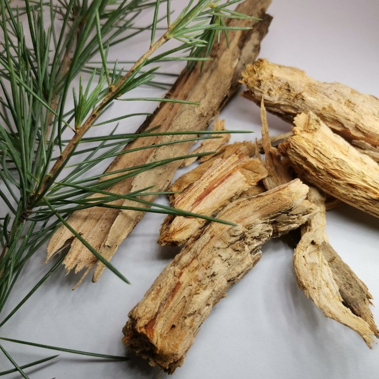 植物炼金术 雪松木 枯树头清新木香合香制香原料