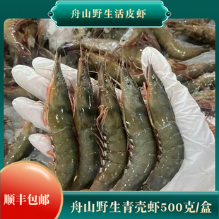 舟山野生青壳滑皮虾活皮虾1斤45只内顺丰包邮