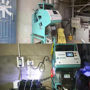 多功能家用型杂粮小型色选机 黄豆红豆青稞设备 全自动家用型定金