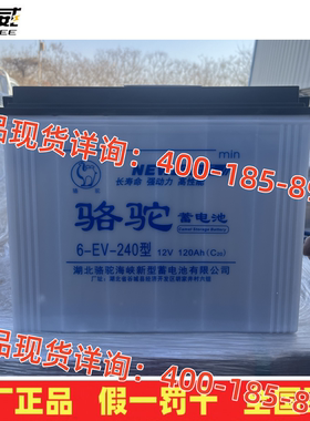 骆驼蓄电池6-EV-240型三轮电动车太阳能房车逆变器12V120AH水电瓶