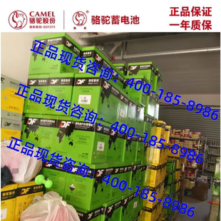 DF骆驼电瓶95D31R/L 叉车 皮卡免维护启动蓄电池6-QW-126min(570)