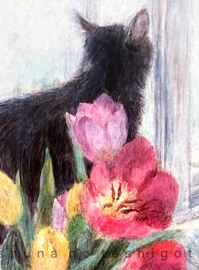 「SHUNA」黑猫的魅力 1 猫肖像画家cimi原版明信片
