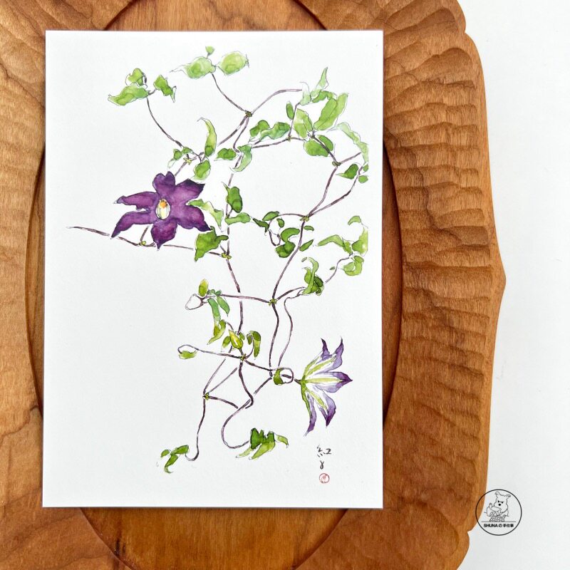 「SHUNA」每一朵美丽的花 深泽红子日本原版花草治愈系明信片