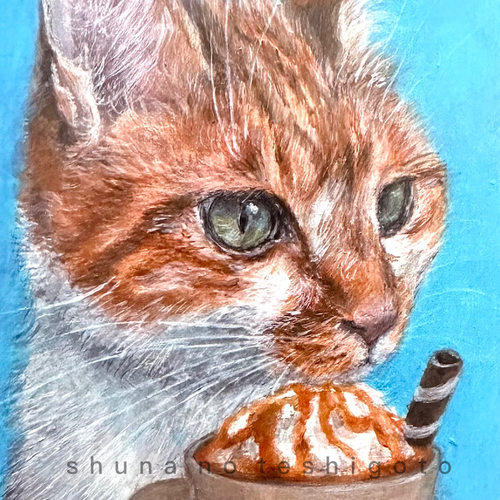「SHUNA」猫咪咖啡师 猫肖像画家cimi原版明信片