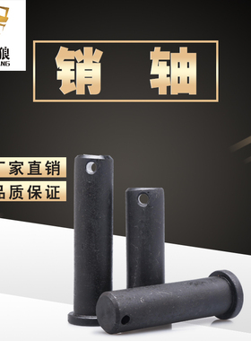 销轴圆柱带孔gb882镀锌平头销钉定位销插销b型销子m18m25m30×100