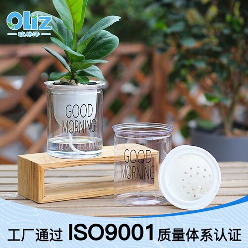 厂家现货塑料早安花盆全透明创意懒人吸水good morning