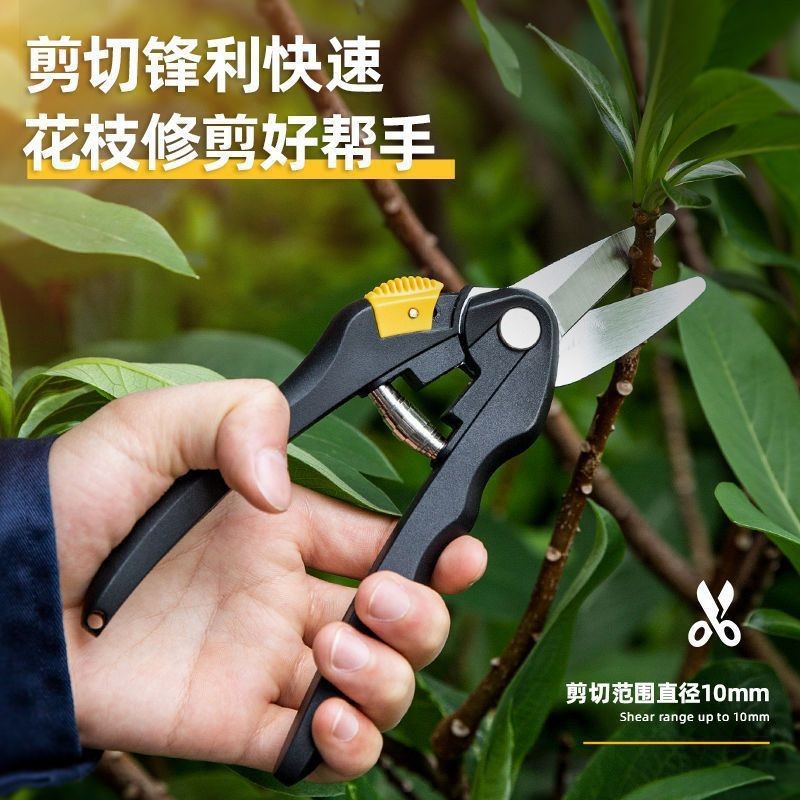 园艺果树剪刀修剪树枝盆栽神器家用绿化剪刀枝修剪刀专用工具