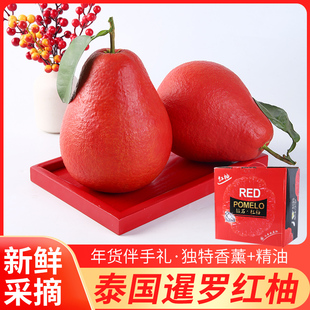 年货贡品送礼正宗泰国暹罗红柚蜜柚香妃柚红皮柚红柚高档礼盒包邮