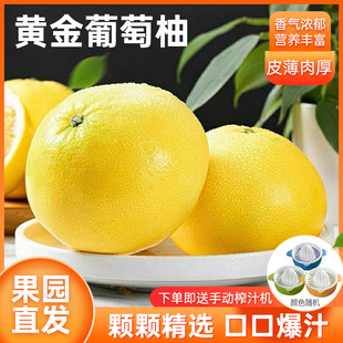 葡萄柚新鲜黄金爆汁福建平和柚子10斤当季水果大果甜西柚孕妇整箱