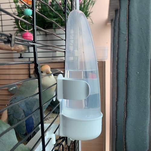 IMAC鹦鹉水壶进口自动八哥玄凤