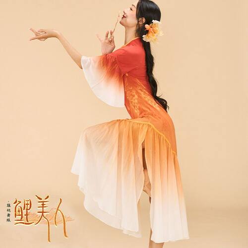 古典服女中国舞蹈纱衣汉