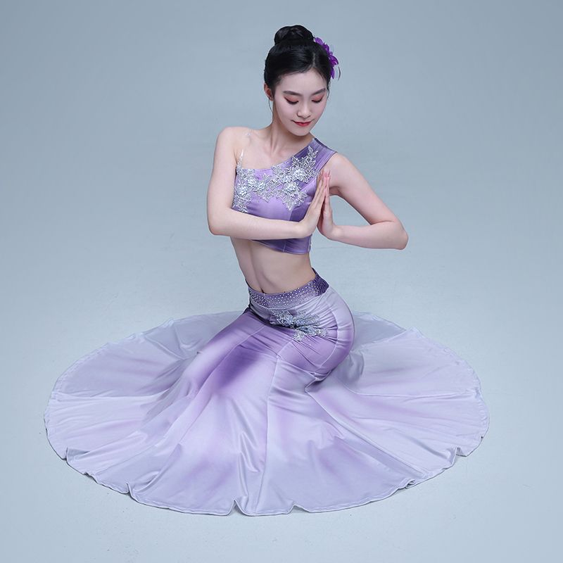 傣族舞蹈演出服女艺考鱼
