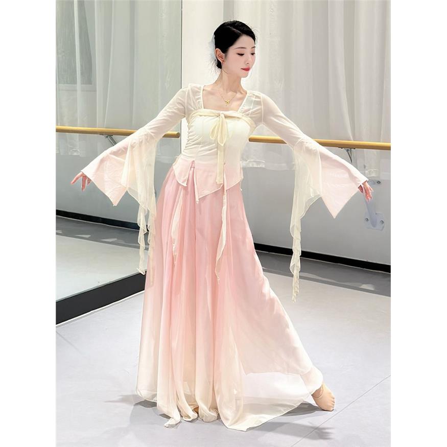 古典舞网纱衣舞蹈服女成
