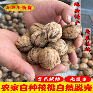 2025年新货成县核桃陇南特产成县核桃原味干果零食坚果1斤起包邮