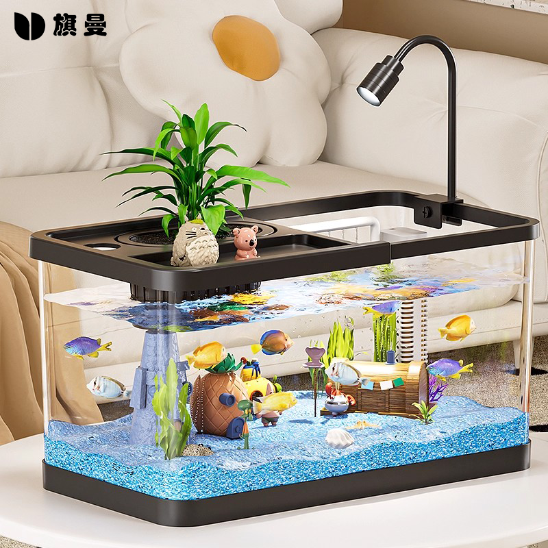 小鱼缸过滤制氧换水全套水族箱