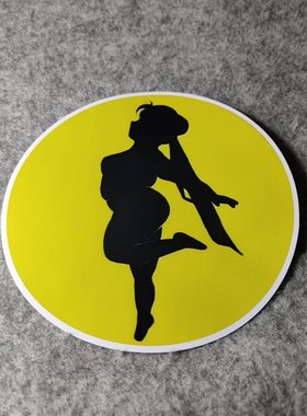 美少女战士动漫卡通二次元改装汽车摩托动漫纸痛车小窗车贴D2426