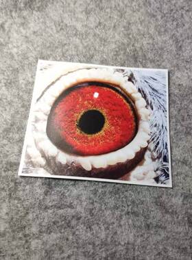 潮流改装眼睛动漫汽车贴摩托贴纸侧窗二次元划纹烫画D1276