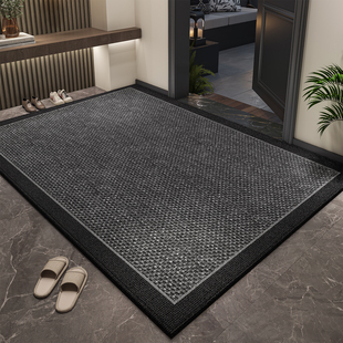入户门地垫高级感进门门口家用脚垫耐脏免洗室外大门门垫门外地毯