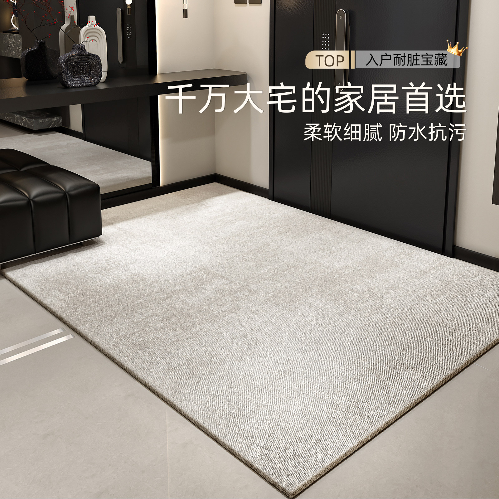 入户门地垫2026新款高级感别墅进门门垫免洗耐脏室内脚垫门口地毯