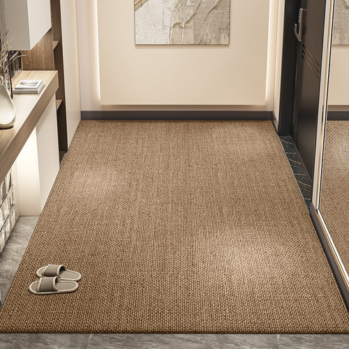 入户门地垫2025新款高级感进门门口防滑耐脏地毯免洗可擦加厚垫子