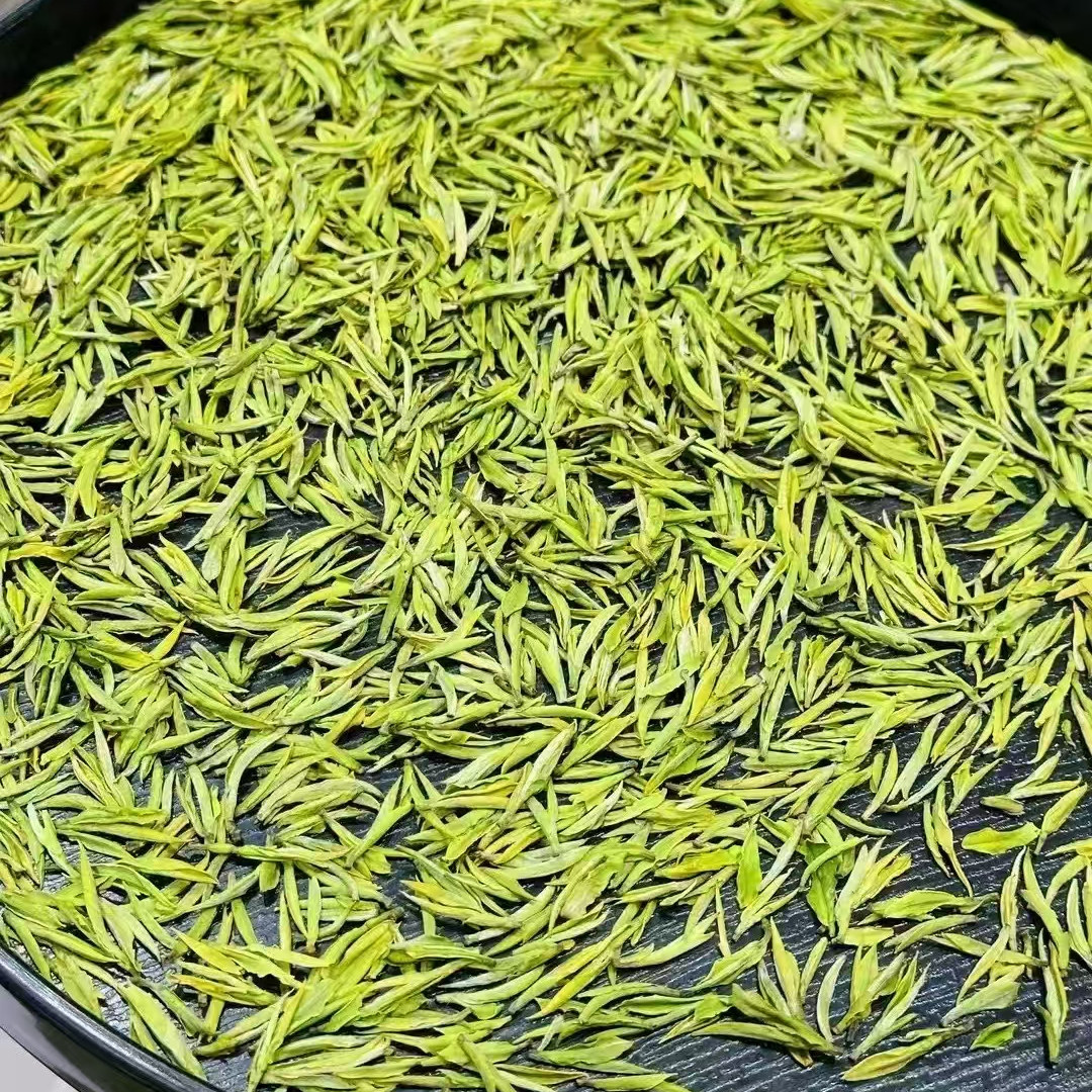 2025新茶B488安吉白茶特级春茶