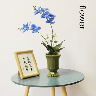 法式高级感陶瓷花瓶摆件客厅插花蝴蝶兰文心兰石斛兰简约个性花盆