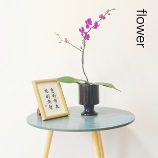 北欧ins风陶瓷花盆家用客厅摆件创意个性 简约蝴蝶兰文心兰花器