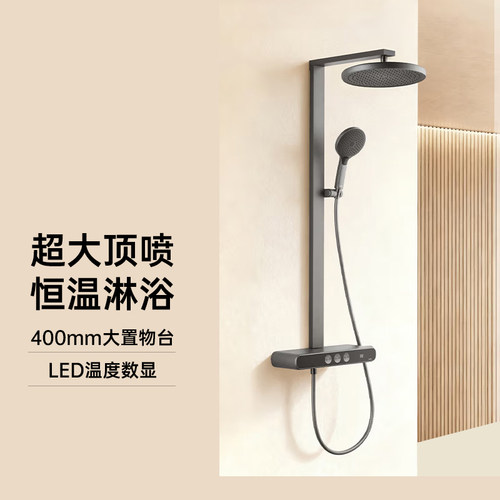 TOTO正品数显恒温花洒TBW12480