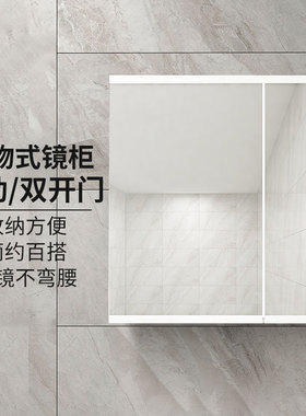 TOTO镜柜LMFC060SLHWC卫生间照明除雾挂墙单独化妆镜收纳盒(06-C)