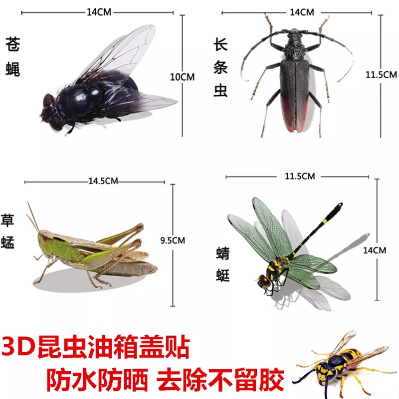 汽车3D蜻蜓创意个性蜜蜂仿真昆虫车身遮挡装饰贴防水油箱盖贴花