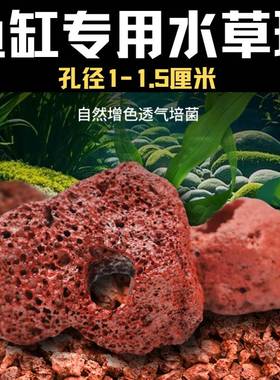 红色打孔火山石水草定植环鱼缸造景底座绿植固定神器水草沉底石