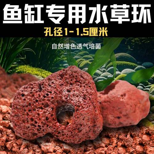 红色打孔火山石水草定植环鱼缸造景底座绿植固定神器水草沉底石