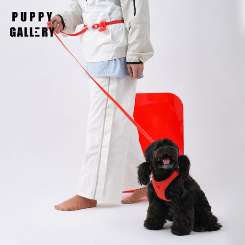 puppygallery牵引绳可调节狗链