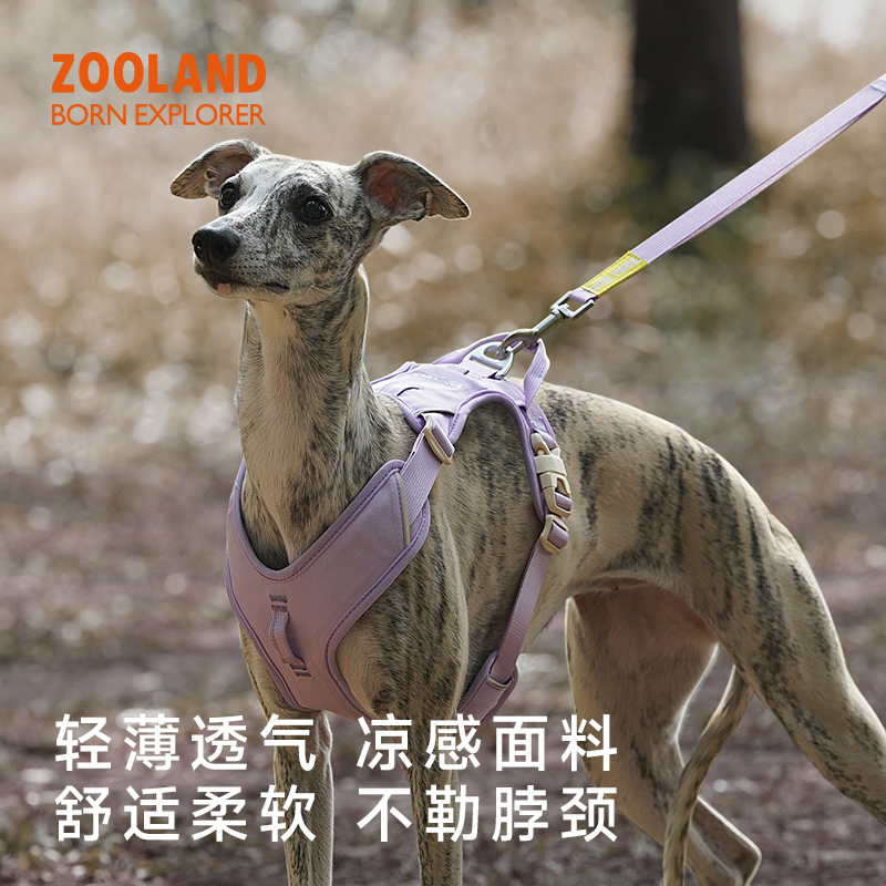 宠物胸背带牵引绳外出遛狗绳狗带