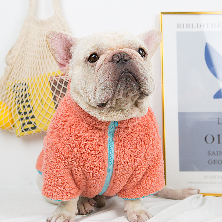 狗狗加绒加厚拉链胖狗斗牛法斗