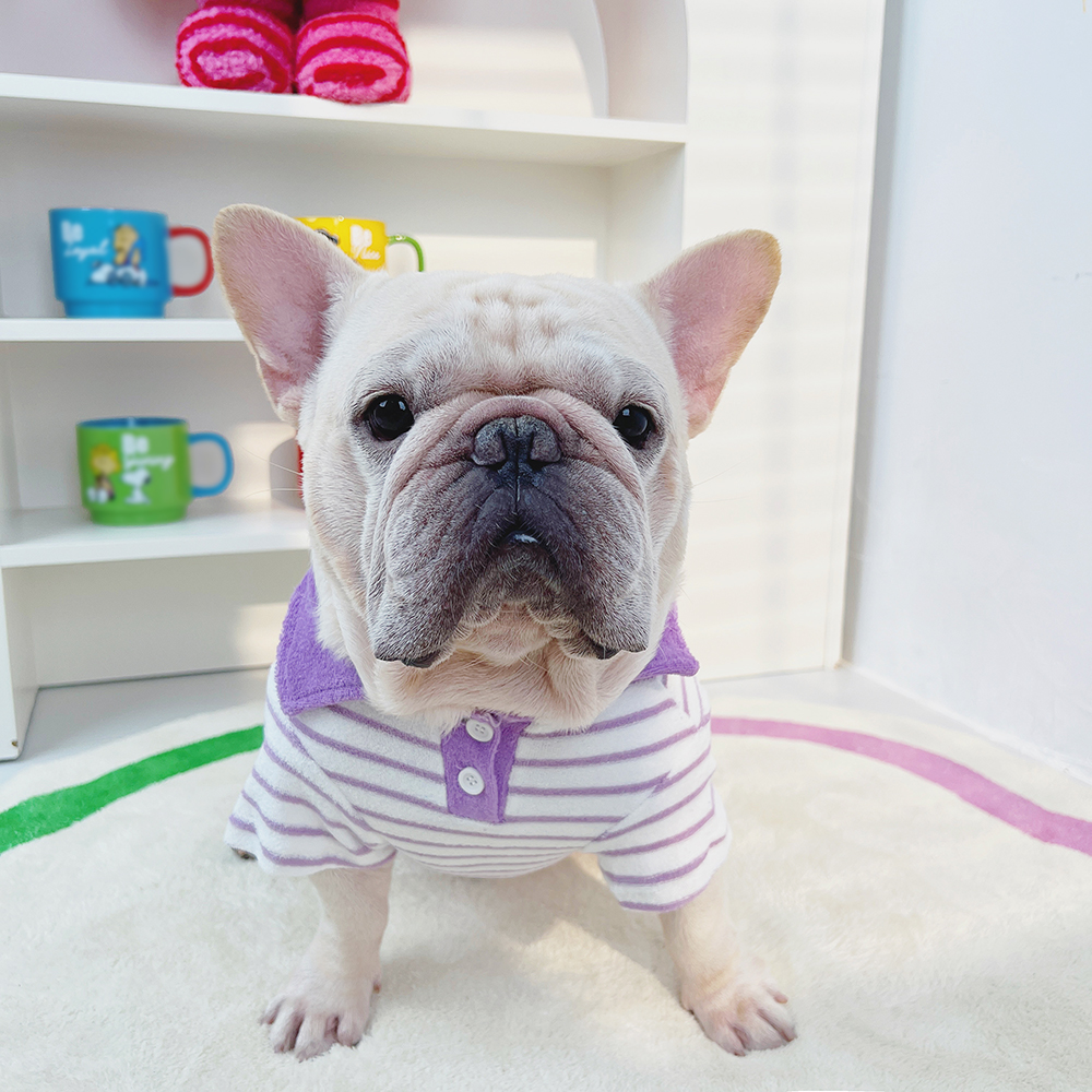 宠物春秋款法斗巴哥衣服Polo衫