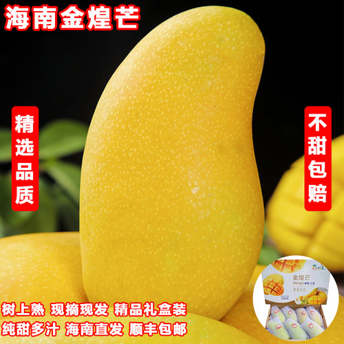 现货海南金煌芒特大水仙芒果新鲜三亚金煌芒芒果新鲜特大果香甜