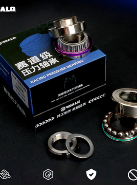 适用于九号E200/M95C/N80C/E100/N70/M85C改装压力轴承三星柱防抖