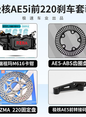 瑞祖玛M616大辐射卡钳改装九号M395C MZ DZ E80C 小牛NXT AE5刹车
