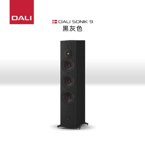 DALI达尼SONIK 9 声刻9木质HIFI发烧无源落地音箱高保真音响