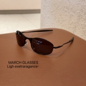 2026新款 小棕镜墨镜女偏光太阳眼镜男士 开车户外骑行登山防紫外线