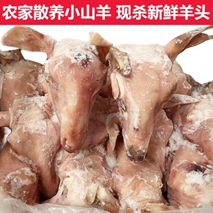 羊头整只生新鲜带皮羊头肉批发生鲜冷冻鲜羊脸肉全山羊头商用