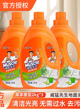 威猛先生（Mr Muscle）地板清洁剂家用木地板瓷砖除菌除垢液 拖地