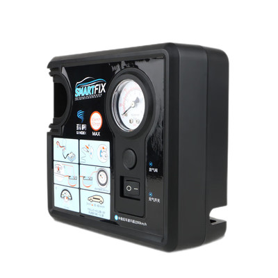 瑞柯车载充气泵车载小轿车12v